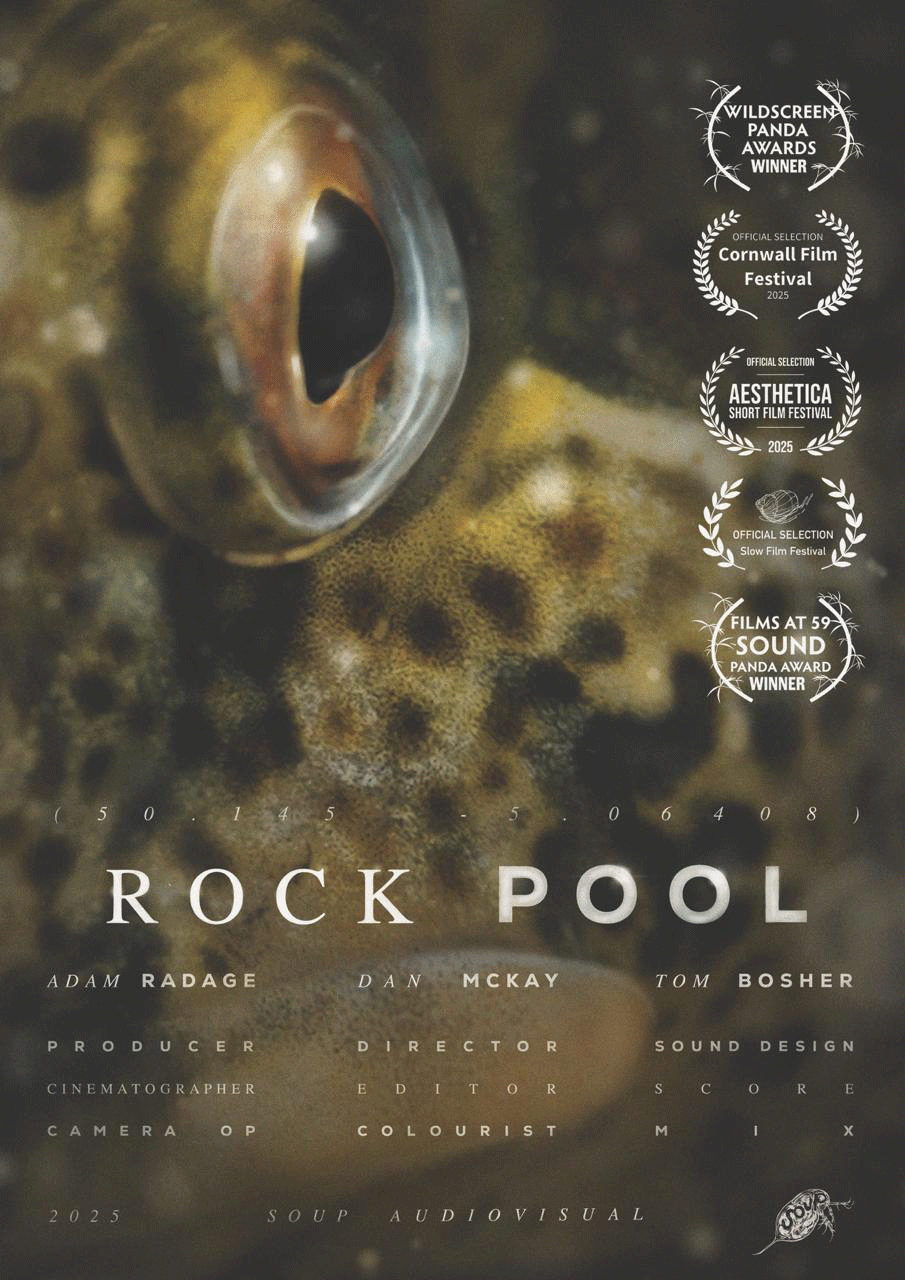 Rock Pool