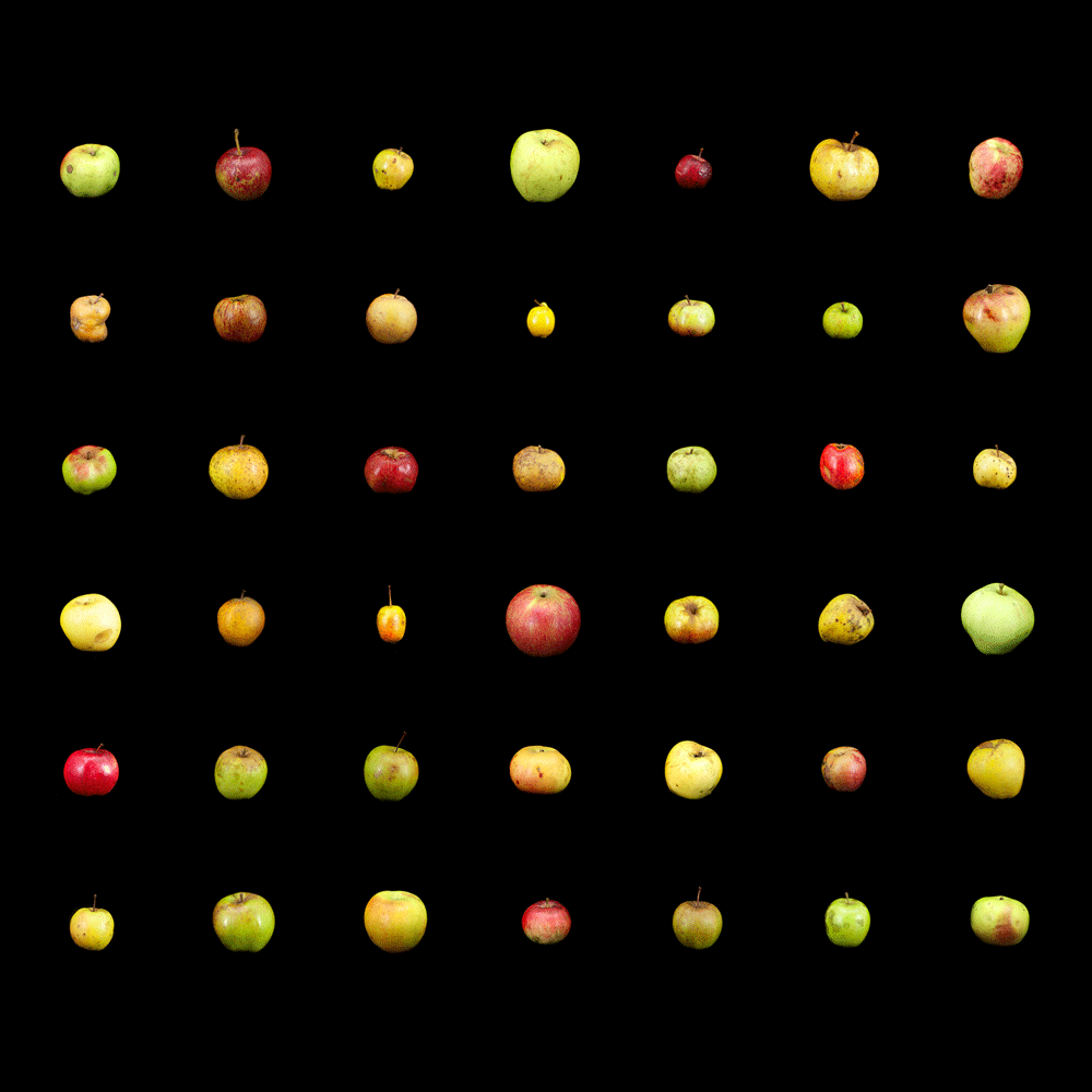 Some Interesting Apples