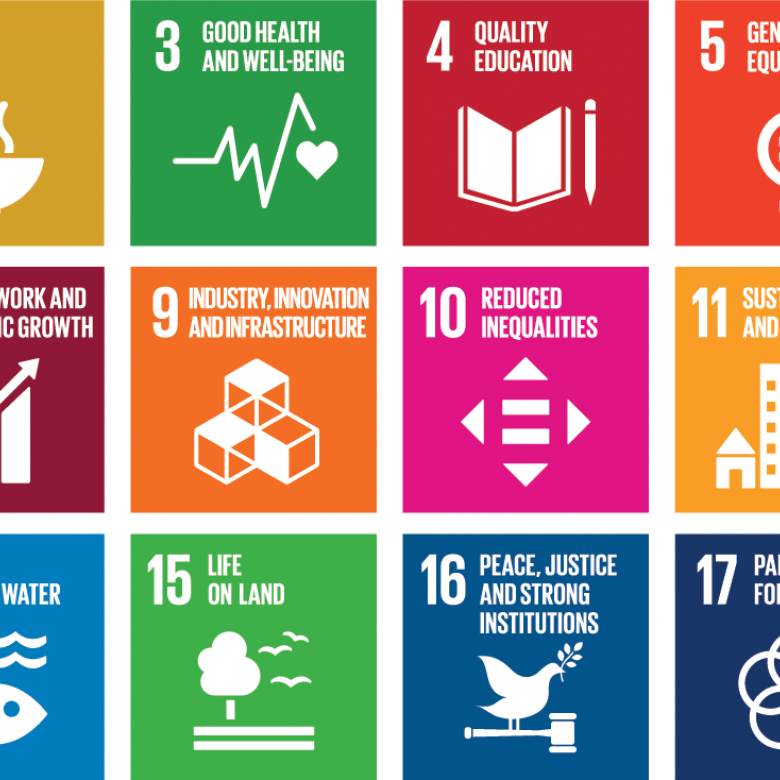 The Sdgs Grid