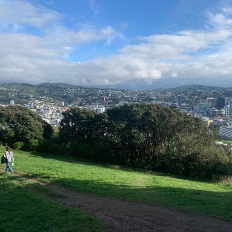 Walk to Mount Victoria Lookout in Wellington