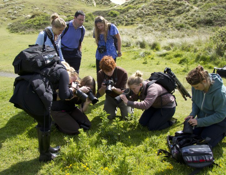 Students in a field photographing something close up on a plant.