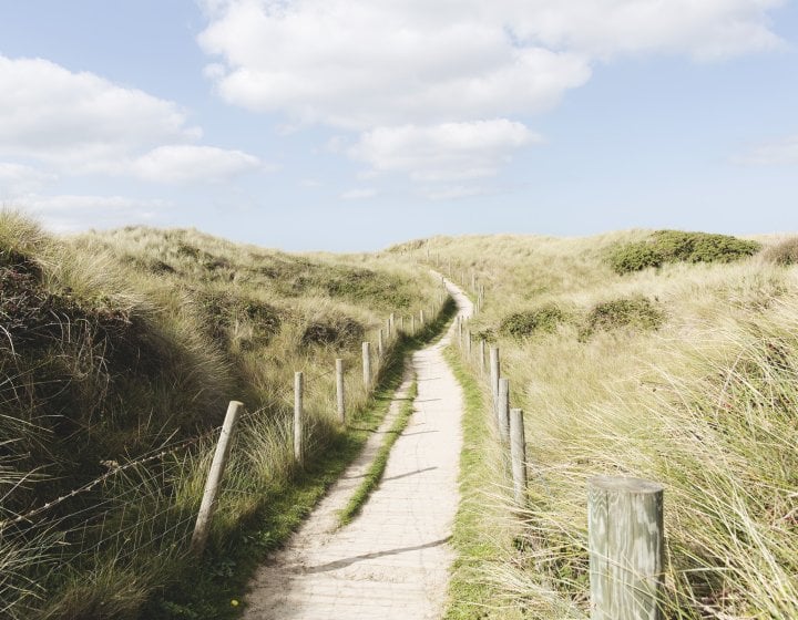 a narrow wooden path through high, grassy sand dunes