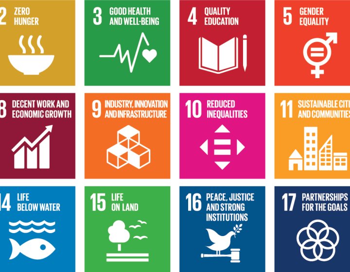 The Sdgs Grid