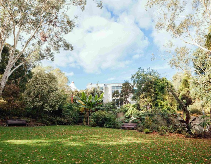 An image of a large garden on a sunny day