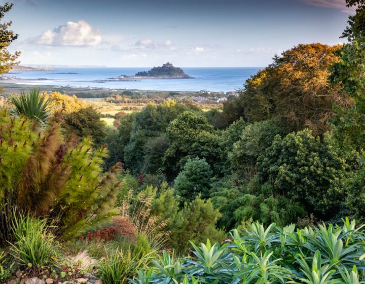 View across gardens and sea to St Michael's Mount from Tremenheere Sculpture Gardens