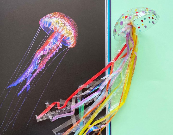An image of a jellyfish and then a crafted jellyfish made out of recycled plastic against a light green wall