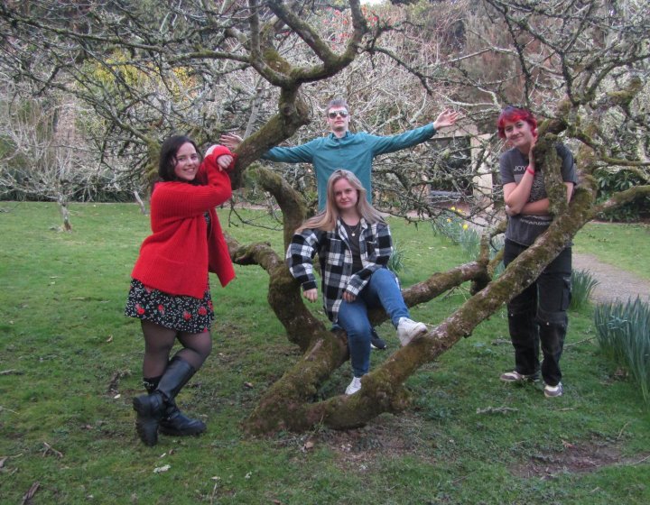 4 people sat at different levels on a tree