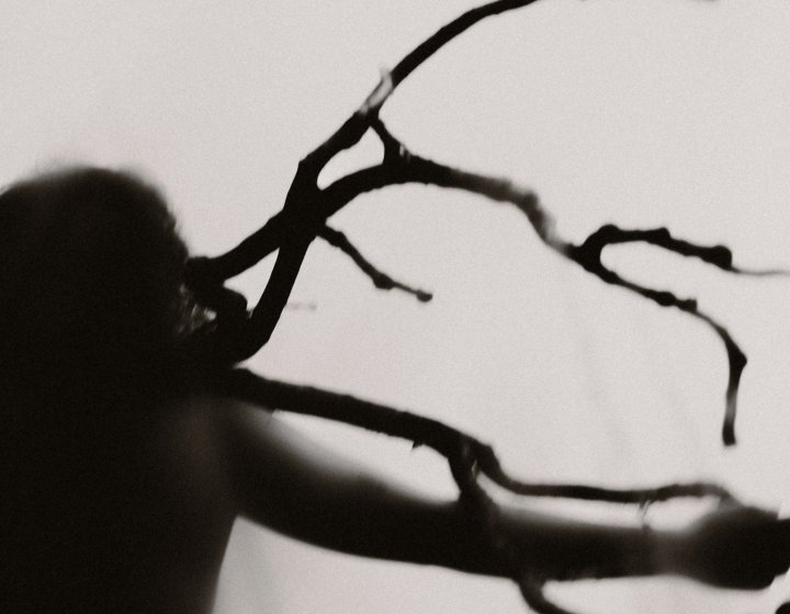 A silhouette of a person and a tree