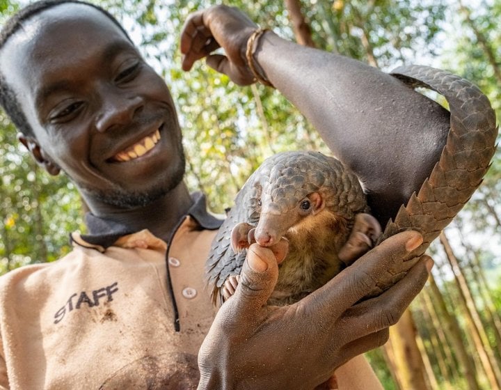 A man smiling while holding a pangolin