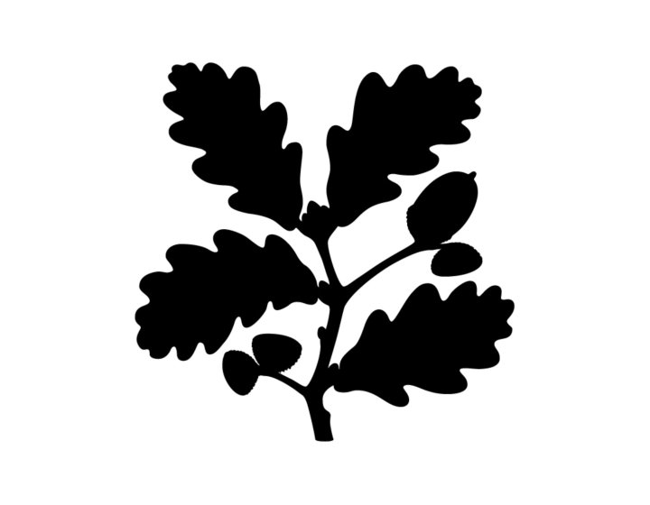 National Trust logo