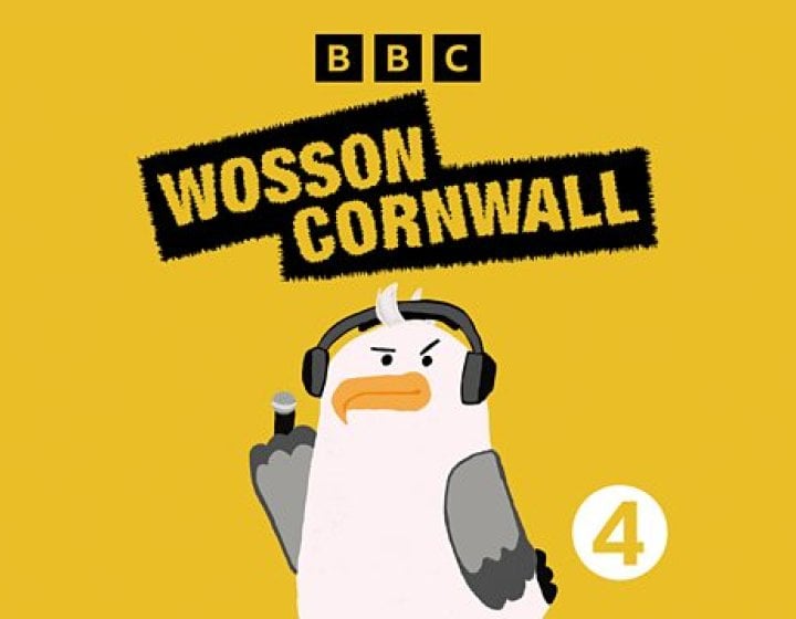 An animation of a seagull wearing headphones with the text 'Wosson Cornwall' displayed on a yellow background