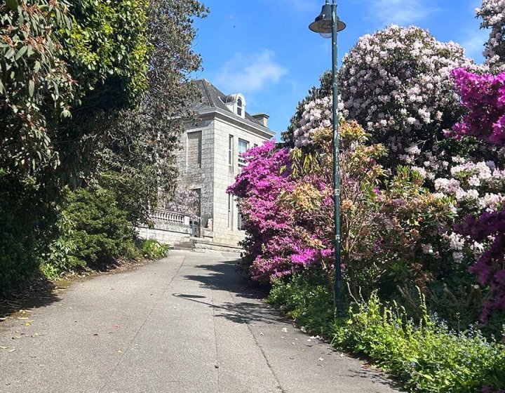 Penryn campus with path and rhododendrons