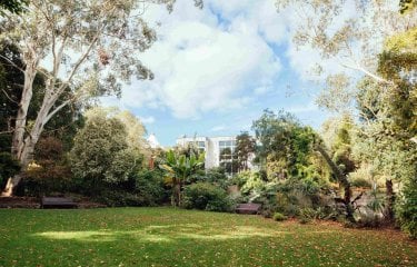 An image of a large garden on a sunny day