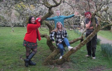 4 people sat at different levels on a tree