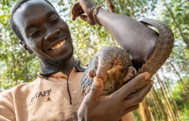 A man smiling while holding a pangolin