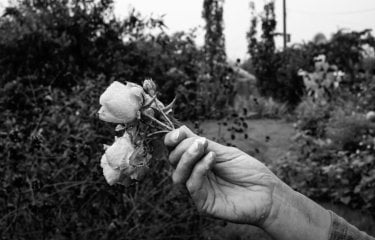 Black and white photo of a hand holding roses in a garden