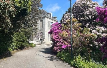 Penryn campus with path and rhododendrons