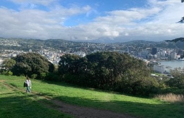 Walk to Mount Victoria Lookout in Wellington