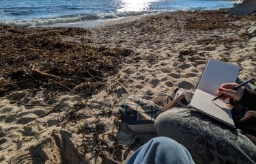 A man sat on a beach