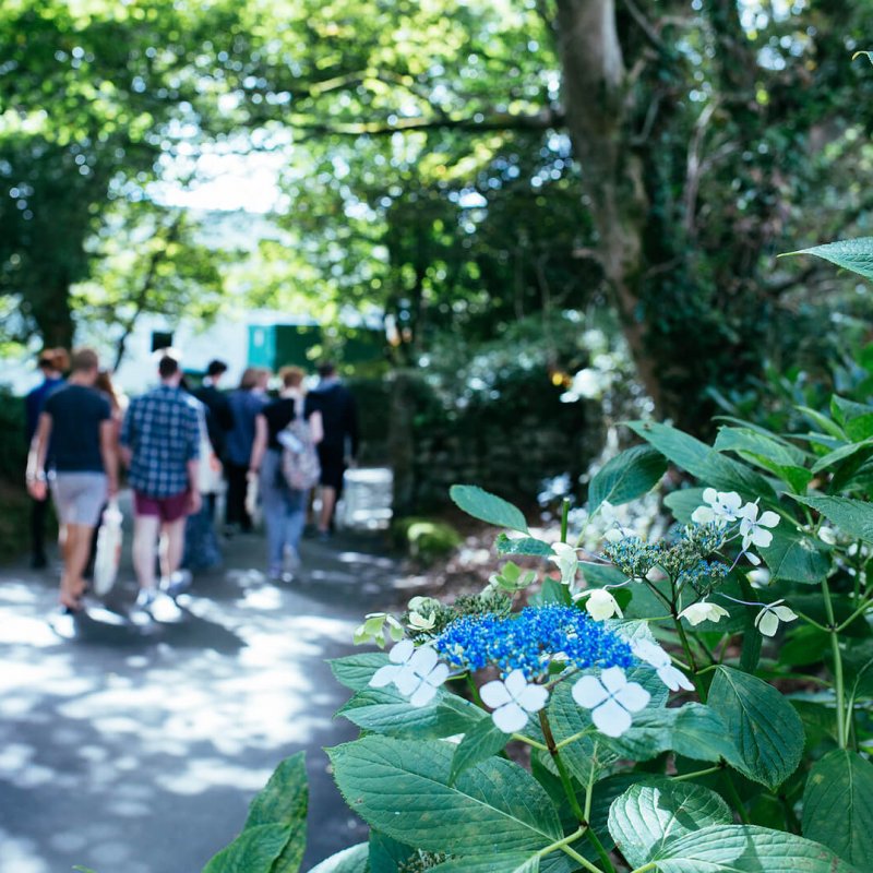 Falmouth students walking through gardens