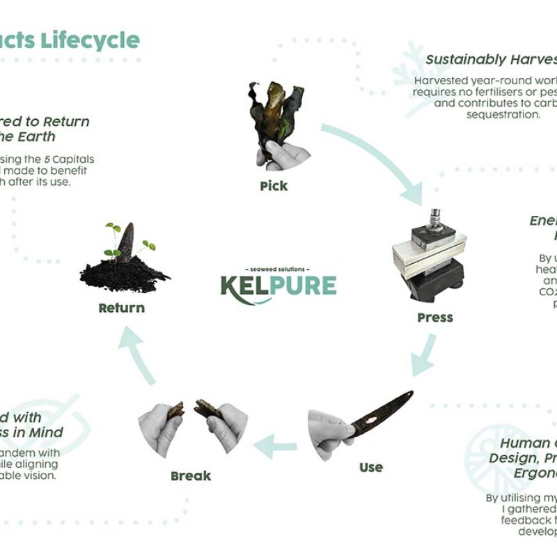 Kelpture