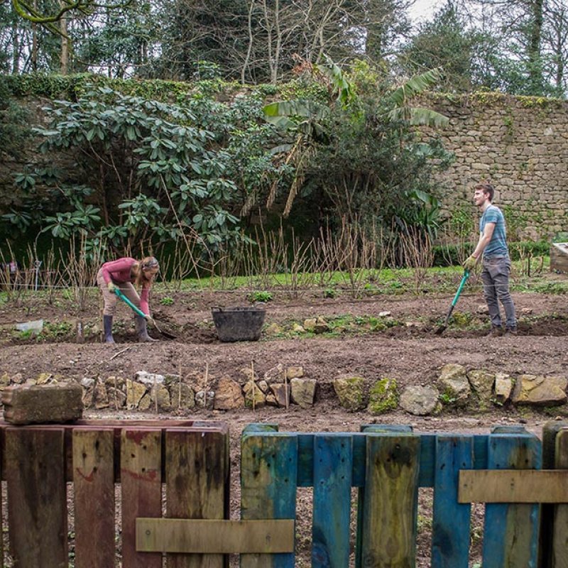 Two Falmouth University students digging the earth in a walled garden