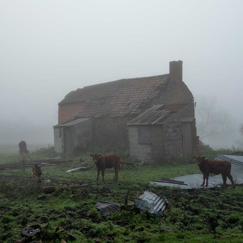 A farmhouse in the mist