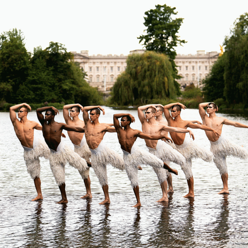 Matthew Bourne's Swan Lake cast