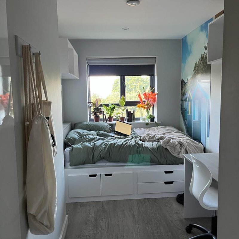 Student bedroom with bed, bags hanging up, window and plants