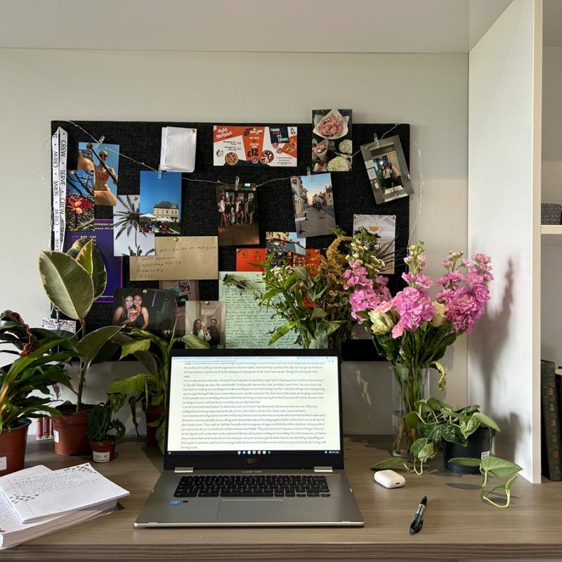 Open laptop on a desk with flowers, house plants and mounted photo board