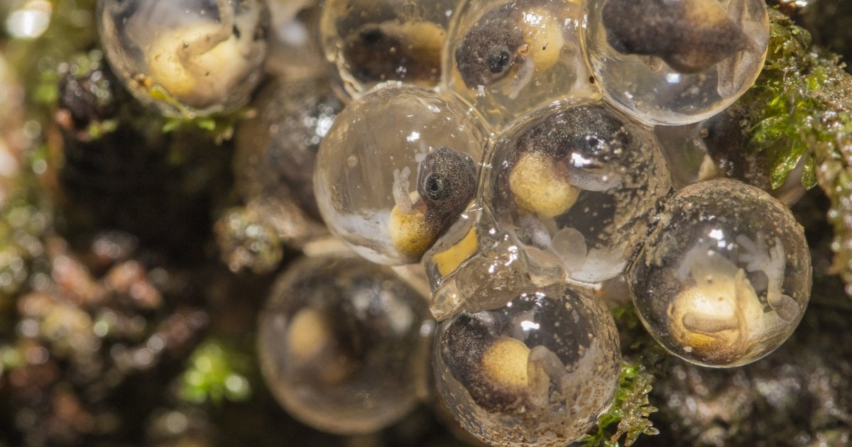 Photography Student Published in BBC Wildlife Magazine | Falmouth ...